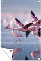 Tuinposter - Tuindoek - Tuinposters buiten - Flamingo - Vogel - Water - Roze - 80x120 cm - Tuin