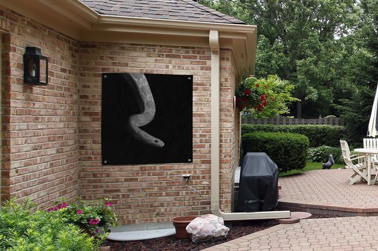 Toile de jardin Animaux - Serpent - Zwart - Wit - Portrait - 100x100 cm