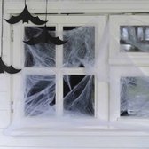 Spinnenweb Halloween