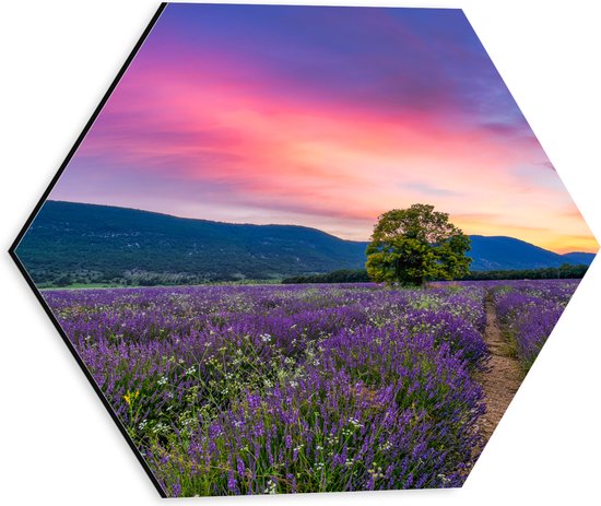 Dibond Hexagon - Lavendel Veld met Zonsondergang en Mooie Lucht - 30x26.1 cm Foto op Hexagon (Met Ophangsysteem)
