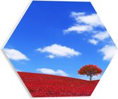PVC Schuimplaat Hexagon - Kleurrijk Rood Gekleurd Landschap met Blauwe Lucht - 30x26.1 cm Foto op Hexagon (Met Ophangsysteem)