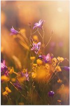 Poster Glanzend – Paarse en Gele Bloemetjes in het Landschap - 80x120 cm Foto op Posterpapier met Glanzende Afwerking