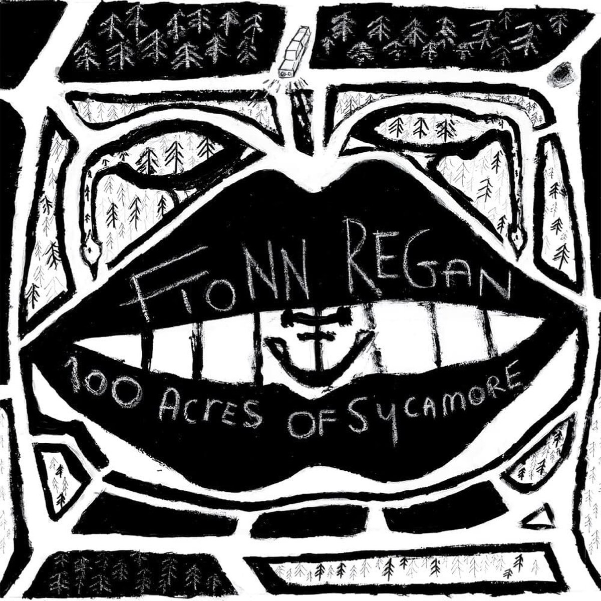 Fionn Regan - 100 Acres Of Sycamore (LP) (Limited Edition)