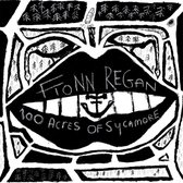 Fionn Regan - 100 Acres Of Sycamore (LP)