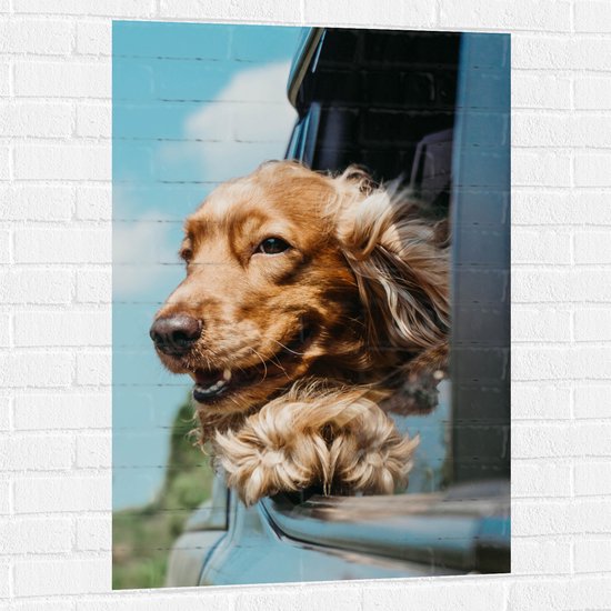 WallClassics - Muursticker - Bruine Hond hangend uit Autoraam - 70x105 cm Foto op Muursticker
