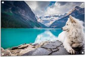 WallClassics - Tuinposter – Witte Hond liggend bij Bergen en Water - Samojeed - 90x60 cm Foto op Tuinposter (wanddecoratie voor buiten en binnen)