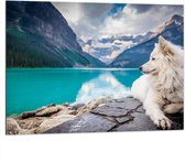 WallClassics - Dibond - Witte Hond liggend bij Bergen en Water - Samojeed - 100x75 cm Foto op Aluminium (Met Ophangsysteem)