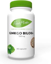 Ginkgo Biloba - 530mg - 60 caps