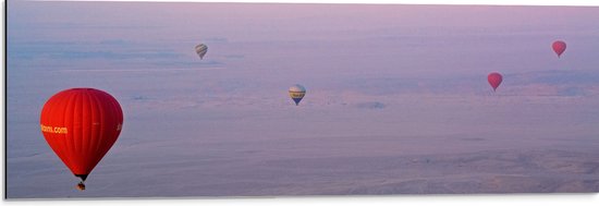 WallClassics - Dibond - Ballonvaarten in Verschillende Luchtballonnen - 90x30 cm Foto op Aluminium (Wanddecoratie van metaal)