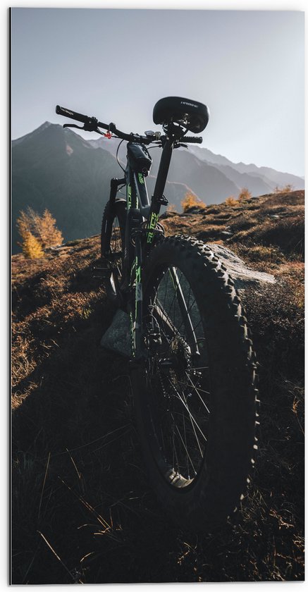 WallClassics - Dibond - Geparkeerde Mountainbikefiets in Berglandschap - 50x100 cm Foto op Aluminium (Met Ophangsysteem)