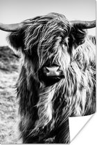 Poster Schotse hooglander - Natuur - Koe - Zwart - Wit - 20x30 cm