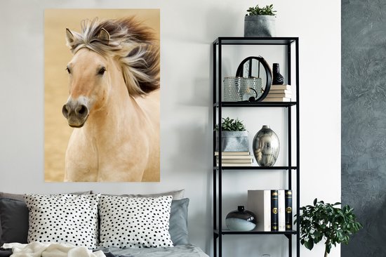 Affiche Cheval - Animal - Crinière - Portrait - 80x120 cm