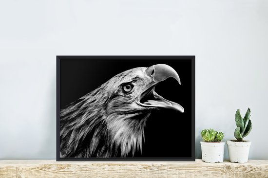 Cadre photo avec affiche - Aigle - Portrait - Oiseaux de proie - Zwart - Wit - Vogel - 40x30 cm - Cadre pour affiche
