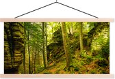 Posterhanger incl. Poster 120x60 cm - Schoolplaat - Bomen - Steen - Bos - Natuur - Planten - Textielposter - Blanke latten