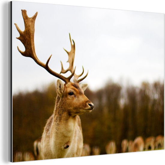 Wanddecoratie Metaal - Aluminium Schilderij Industrieel - Damhert - Bos - Kudde - Dieren - Natuur - 120x90 cm - Dibond - Foto op aluminium - Industriële muurdecoratie - Voor de woonkamer/slaapkamer