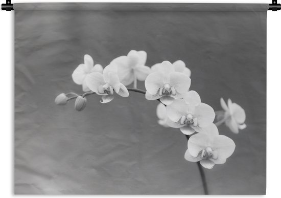 Wandkleed - Wanddoek - Orchidee - Bloemen - Plant - Wit - Paars - 60x45 cm - Wandtapijt