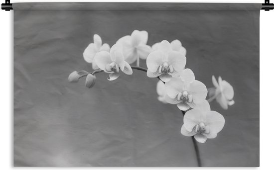 Wandkleed - Wanddoek - Orchidee - Bloemen - Plant - Wit - Paars - 60x40 cm - Wandtapijt