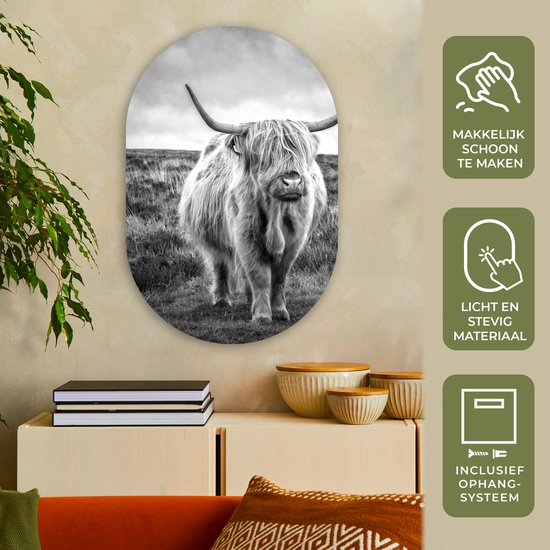 Miroir ovale mural - Décoration murale en plastique - Tableau ovale - Highlander écossais - Animaux - Nuages ​​- Vache - Nature - 60x90 cm - Miroir ovale sur plastique