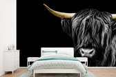 Behang - Fotobehang Schotse hooglander - Goud - Vacht - Dieren - Koe - Breedte 450 cm x hoogte 300 cm