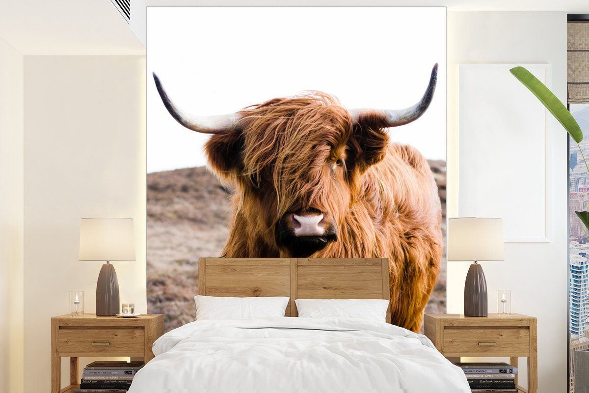 Behang - Fotobehang Schotse hooglander - Landschap - Koe - Bruin - Dieren - Natuur - Breedte 175 cm x hoogte 240 cm