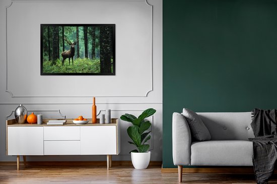 Cadre photo avec affiche - Cerf - Forêt - Arbres - Animaux - Nature - 90x60 cm - Cadre pour affiche