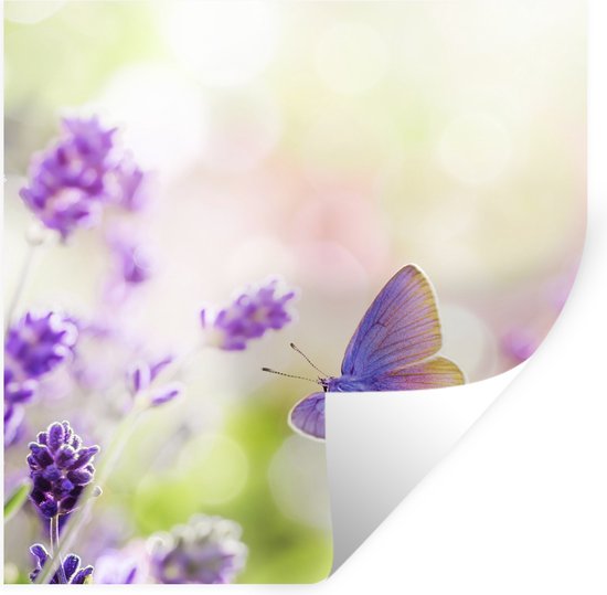 Kiwistar Fiori – Linee Adesivo in 6 Dimensioni – Wall Sticker Wall Sticker, 56_lichtblau, 96 x 42 cm