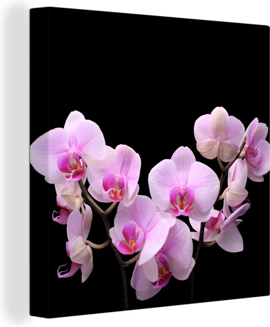 Canvas Schilderij Orchidee - Bloemen - Roze - Flora - 20x20 cm - Wanddecoratie