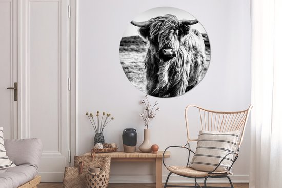 WallCircle - Cercle Mural - Cercle Mural - Scottish Highlander - Nature - Vache - Zwart - Wit - Aluminium - Dibond - 120x120 cm - Intérieur et Extérieur XXL
