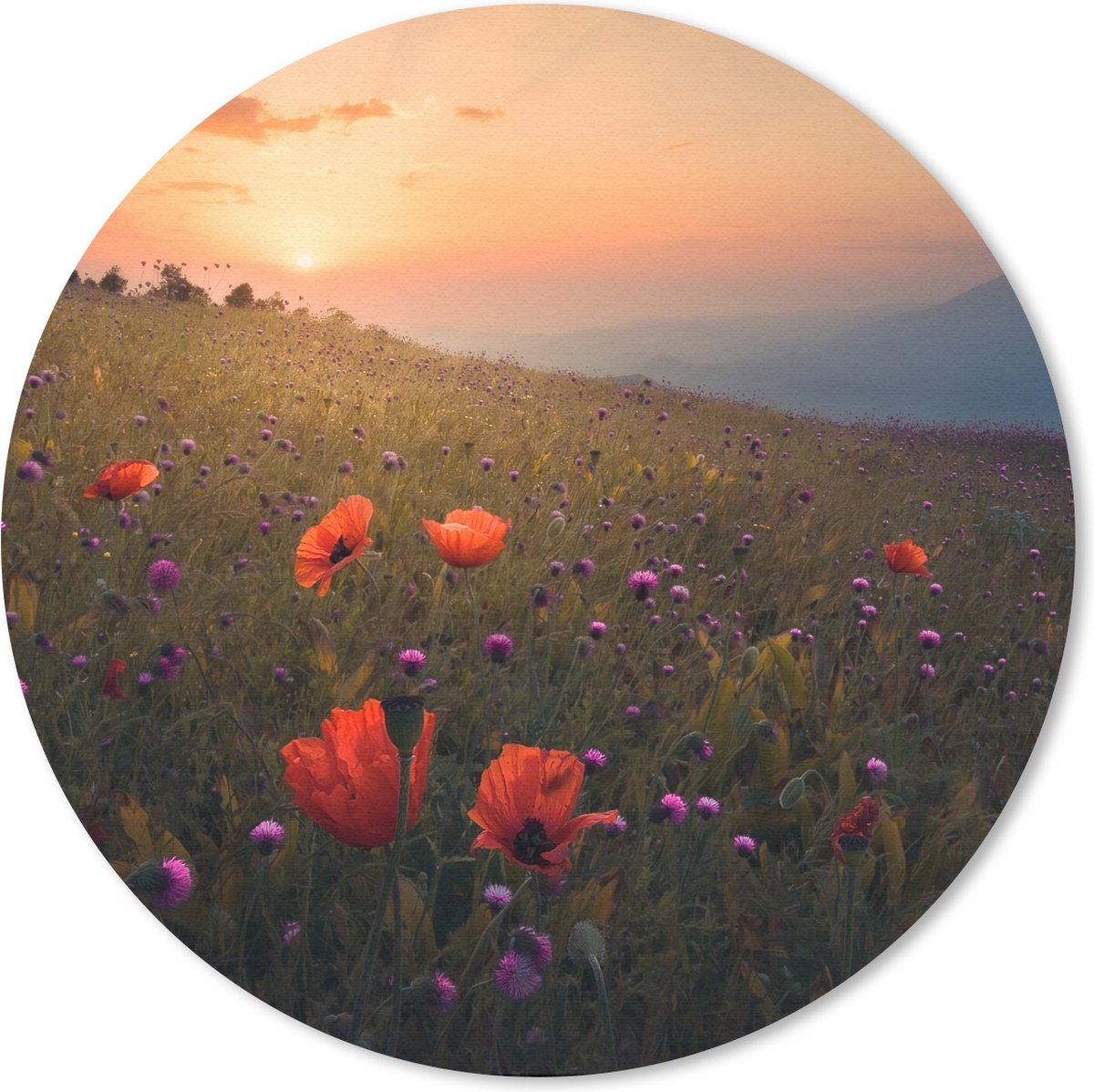 Muismat rond 30x30 cm - Mousepad Bloemenveld - Gras - Bloemen - Planten - Zonsondergang - Oranje - Ronde muismatten