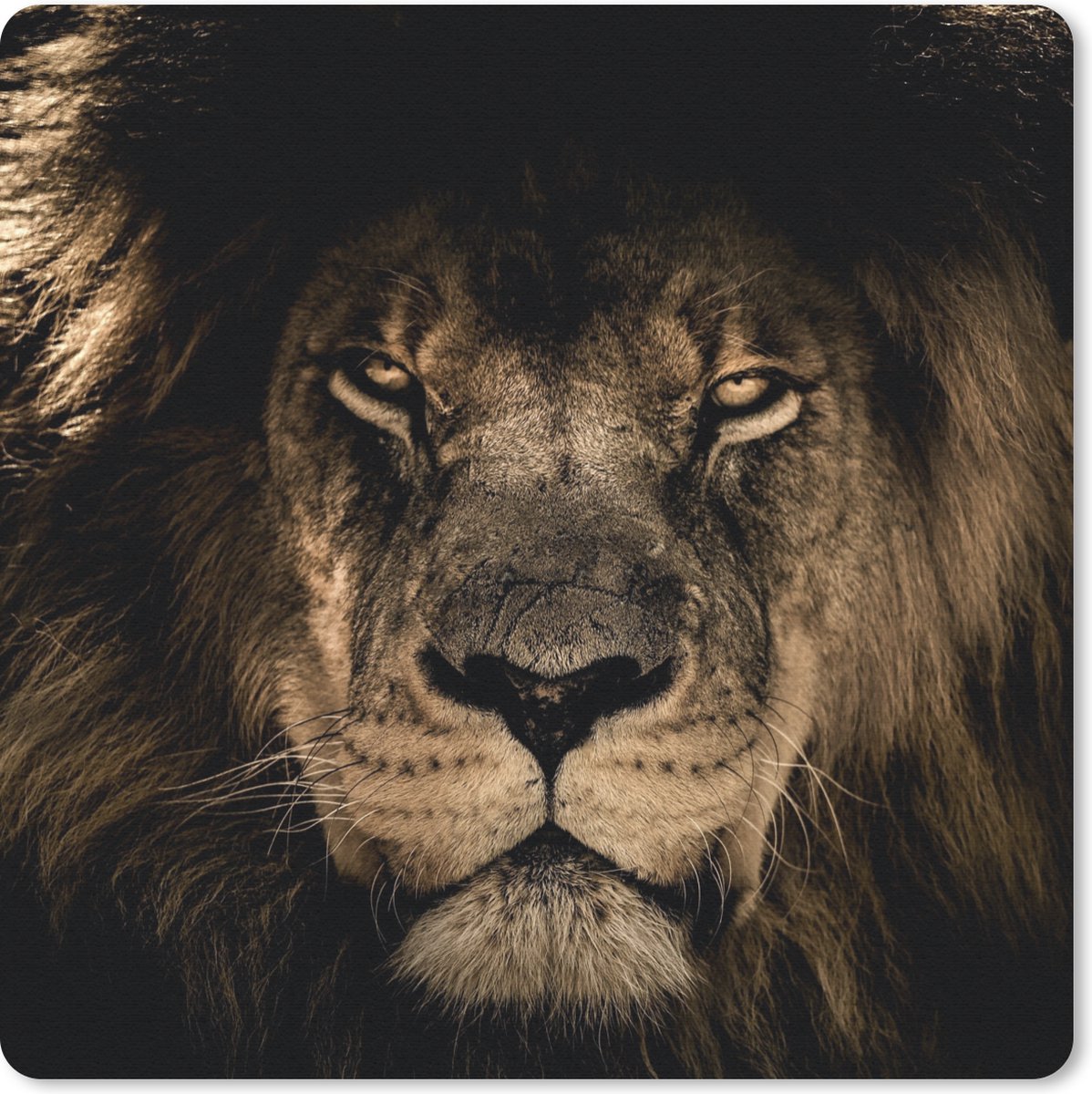Muismat 30x30 cm - Mousepad Leeuw - Dieren - Zwart - Portret - Muismatten