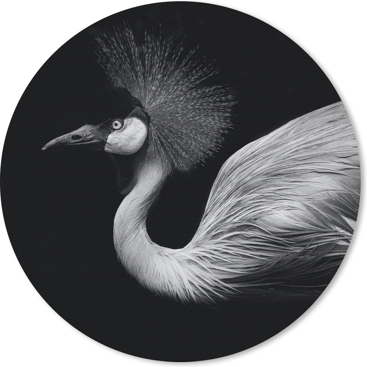 Muismat rond 40x40 cm - Mousepad Kraanvogel - Zwart - Wit - Vogel - Dieren - Ronde muismatten