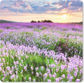 Muismat - Mousepad - Bloemen - Lavendel - Paars - Lucht - Zonsondergang - Weide - Natuur - 30x30 cm - Muismatten