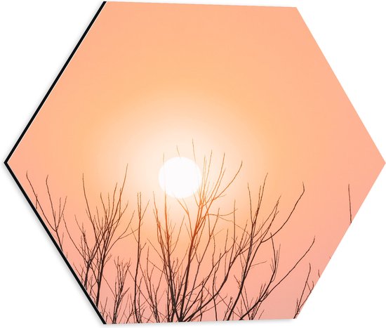 WallClassics - Dibond Hexagon - Roze Lucht en Zon bij Boomtoppen - 40x34.8 cm Foto op Hexagon (Met Ophangsysteem)