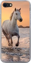 Geschikt voor iPhone 7 hoesje - Paarden - Zon - Zee - Strand - Dieren - Siliconen Telefoonhoesje