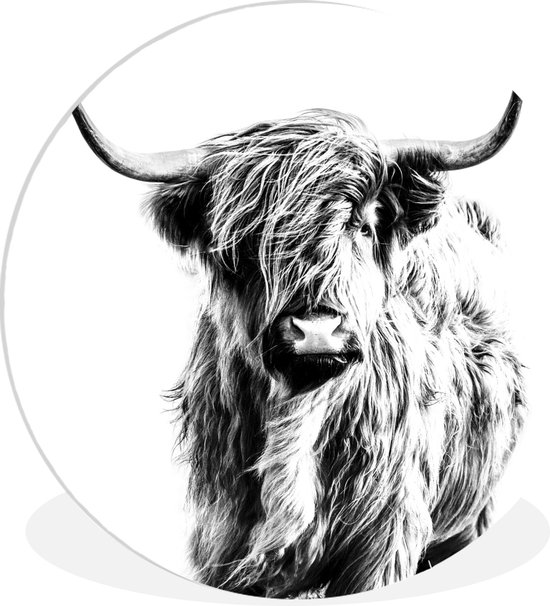 Wandcirkel - Muurcirkel - 60x60 cm - Schotse hooglander - Dieren - Landelijk - Landschap - Koe - Natuur