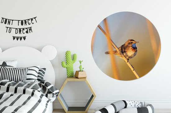 WallCircle - Wall Circle - Wall Circle Indoor - Vogels - Gorgebleue à miroir - Roseaux - 120x120 cm - Décoration murale - Peintures Ronds XXL
