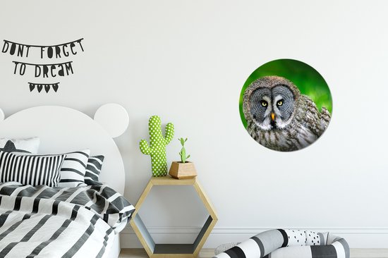 WallCircle - Cercle mural - Cercle mural - Vogel - Hibou - Animaux - Plastique - 30x30 cm - Cercle mural intérieur - Décoration murale ronde - Tableaux ronds