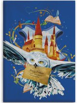 Couverture polaire Aymax Harry Potter: Hedwig 140 X 110 Cm