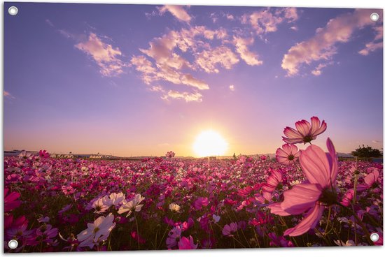 WallClassics - Tuinposter – Veld Roze Bloemen met Paarse Lucht - 90x60 cm Foto op Tuinposter  (wanddecoratie voor buiten en binnen)