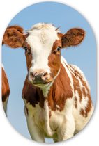 Ovale Mural - Ovale Mural - Décoration murale Plastique - Peinture Ovale - Vaches - Ciel - Animaux - Ferme - Portrait - 80x120 cm - Forme miroir ovale sur plastique