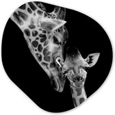 Décoration murale Bio - Décoration murale Plastique - Tableau Bio - Portrait - Girafe - Animaux - Zwart - Wit- 40x40 cm - Forme miroir asymétrique sur plastique