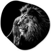 Décoration murale Bio - Décoration murale Plastique - Tableau Bio - Animaux - Sauvage - Lion - Zwart - Wit- 40x40 cm - Forme miroir asymétrique sur plastique