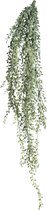 Plant de pois - Senecio Rowleyanus - Plante suspendue - Plante artificielle - Sans pot - 80cm - 111 Pois