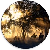 WallClassics - Dibond Muurcirkel - Groepje Paarden in Bos verlicht door Zon - 50x50 cm Foto op Aluminium Muurcirkel (met ophangsysteem)