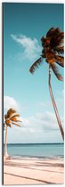 WallClassics - Dibond - Grote en Kleine Palmboom aan het Water - 20x60 cm Foto op Aluminium (Met Ophangsysteem)