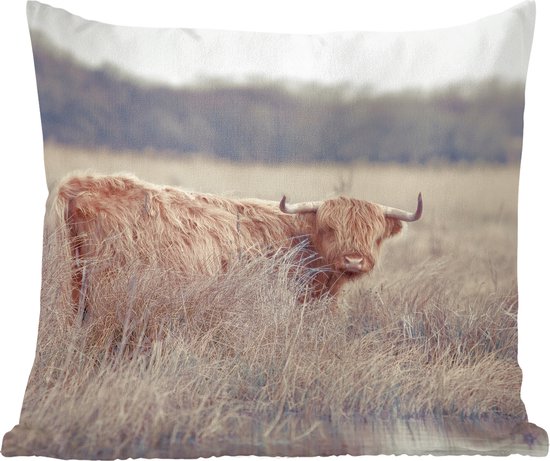 Sierkussen Highlander Cows pour usage intérieur - Highlander dans les hautes herbes - 60x60 cm - Coussin intérieur carré en coton