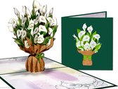 Cartes pop-up Popcards - Arum Witte Calla Zantedeschia Fleurs de la forêt Amitié Anniversaire Chagrin Confort Condoléances Carte pop-up Carte de vœux 3D