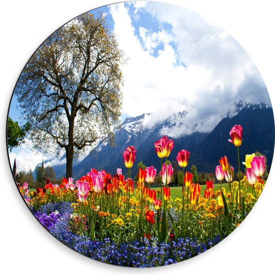 WallClassics - Dibond Muurcirkel - Felgekleurde Bloemen in het Veld met Berg en Boom - 50x50 cm Foto op Aluminium Muurcirkel (met ophangsysteem)