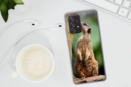 Convient pour la coque Samsung Galaxy A53 5G - Suricate - Animal - Roche - Coque de téléphone en Siliconen