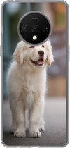 Geschikt voor OnePlus 7T hoesje - Een Golden Retriever puppy lopend op de stoep - Siliconen Telefoonhoesje